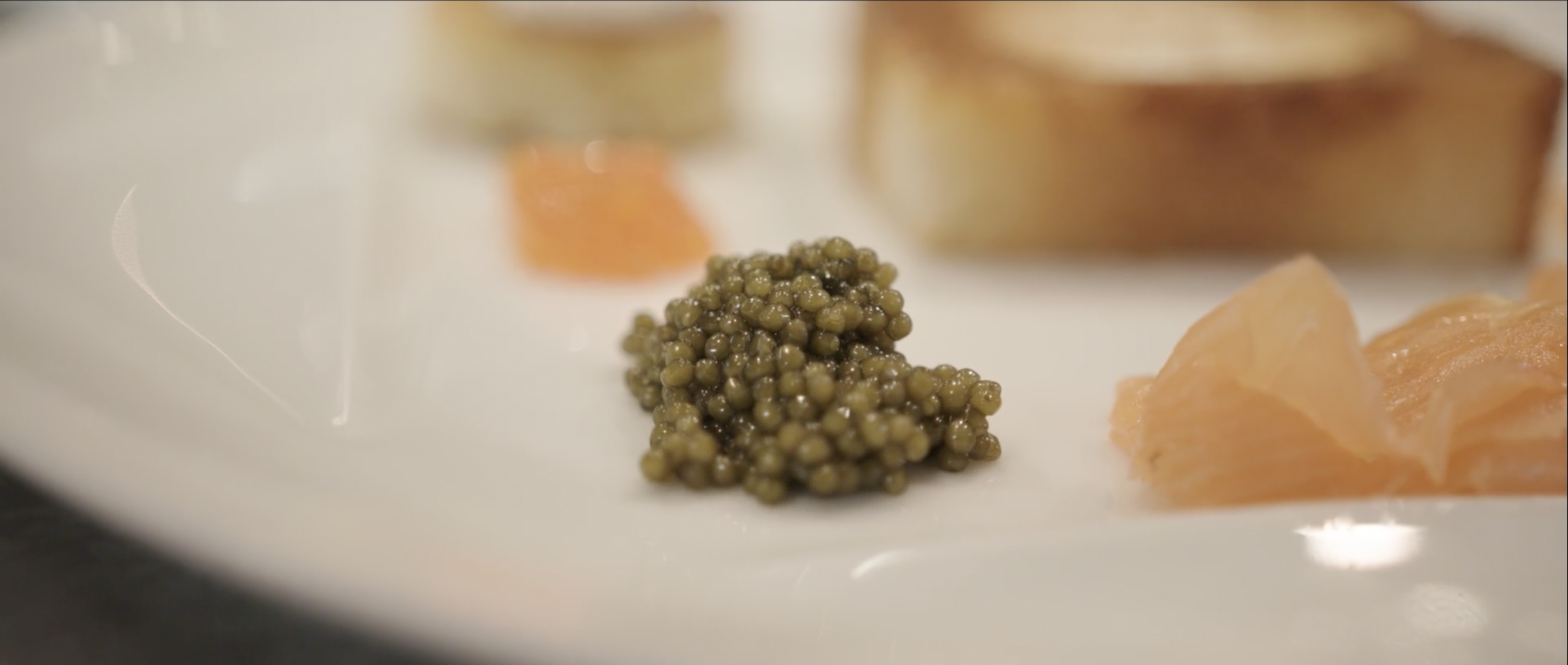 Screen Shot 2022-04-11 at 10.15.09 AM.png