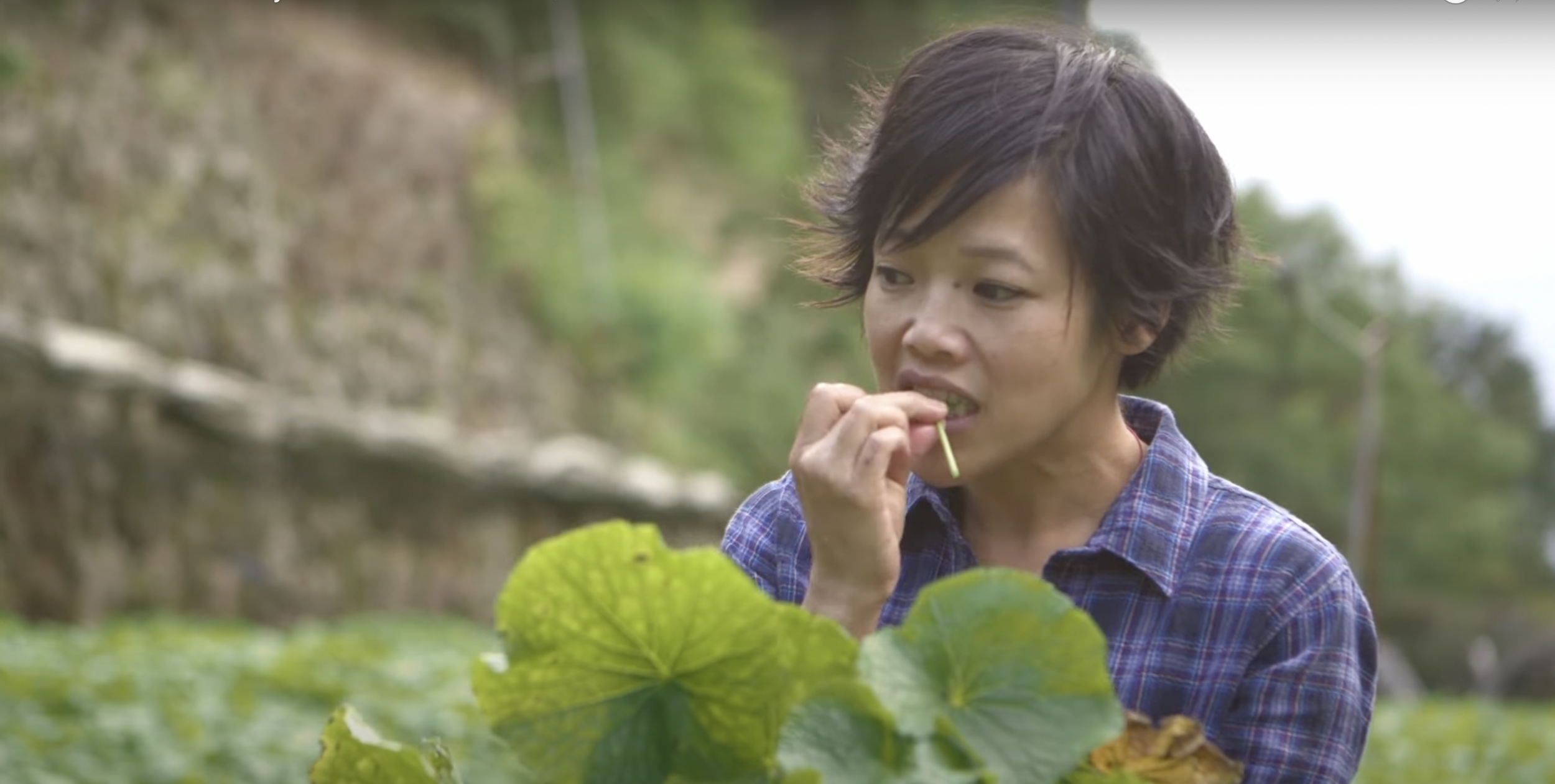 Screen Shot 2022-04-11 at 9.58.36 AM.png