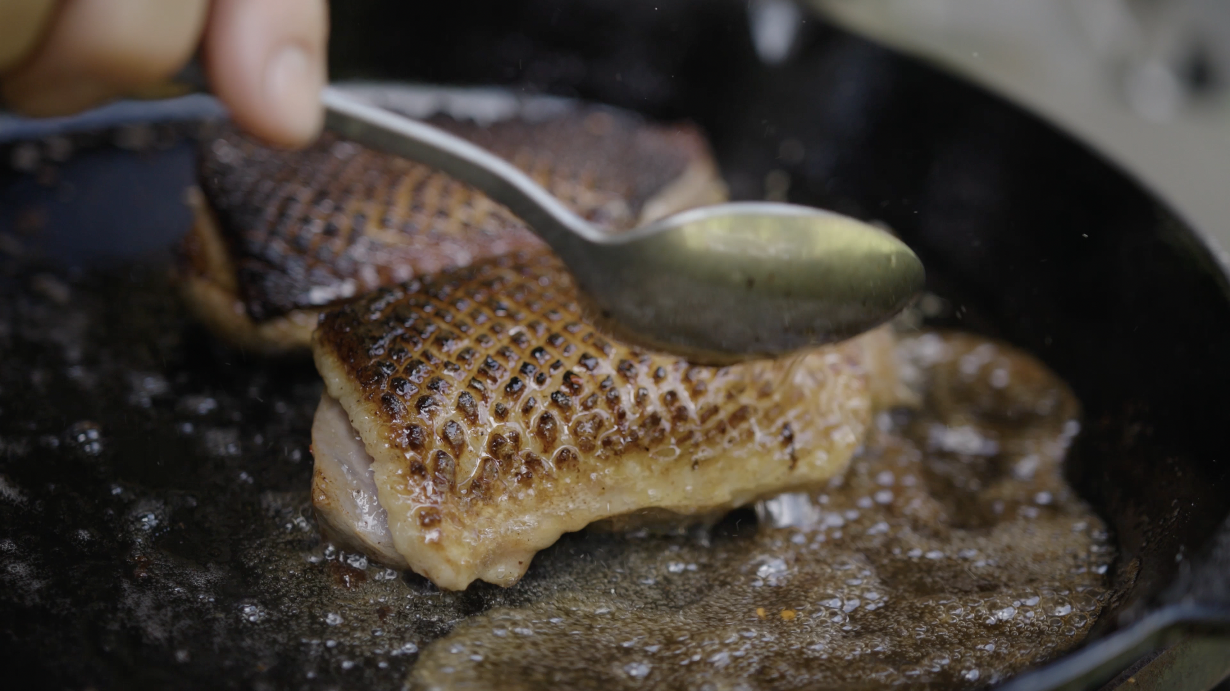 Screen Shot 2023-10-26 at 11.28.41 PM.png