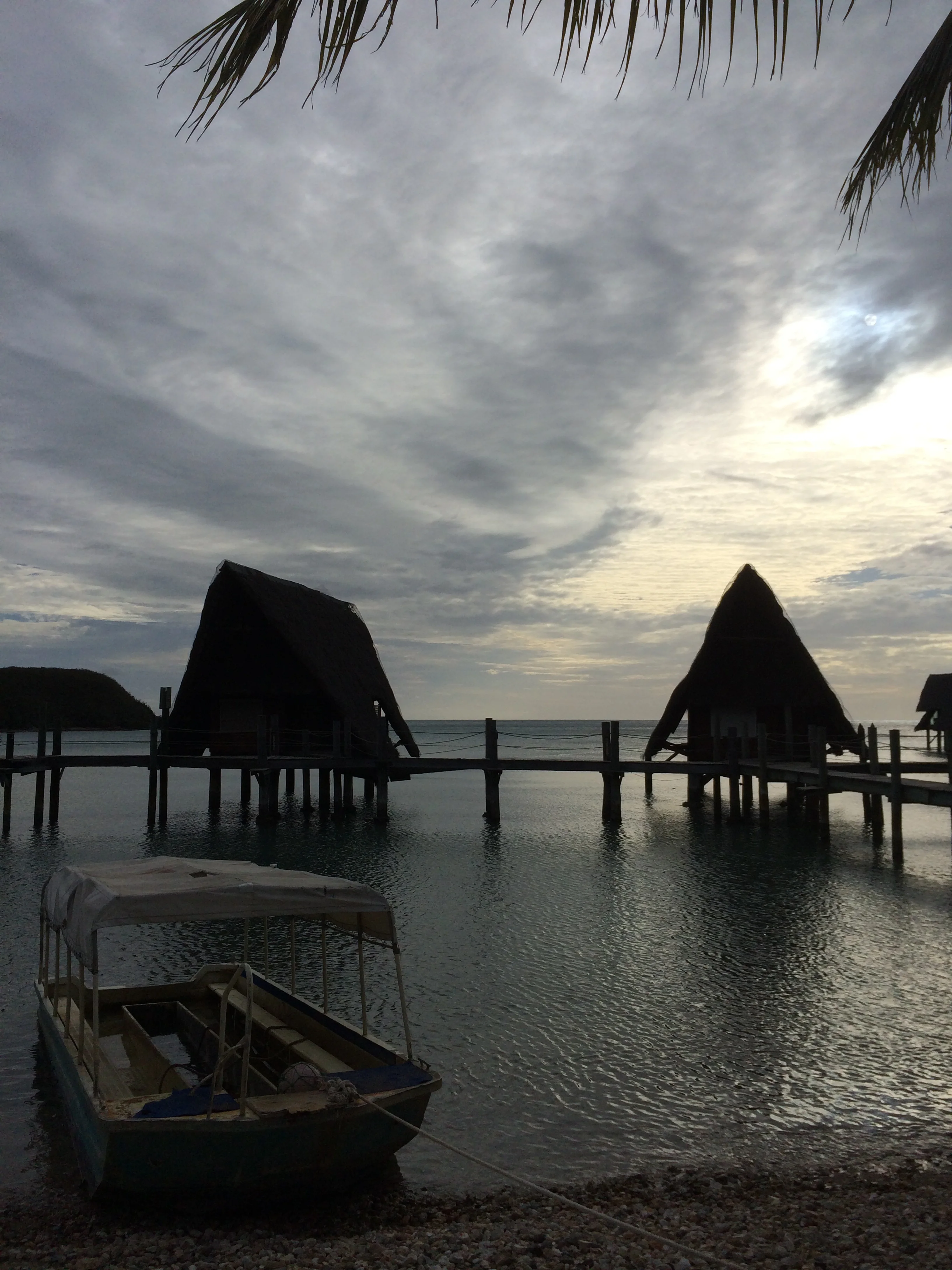 A new home a long way from home in the South Pacific