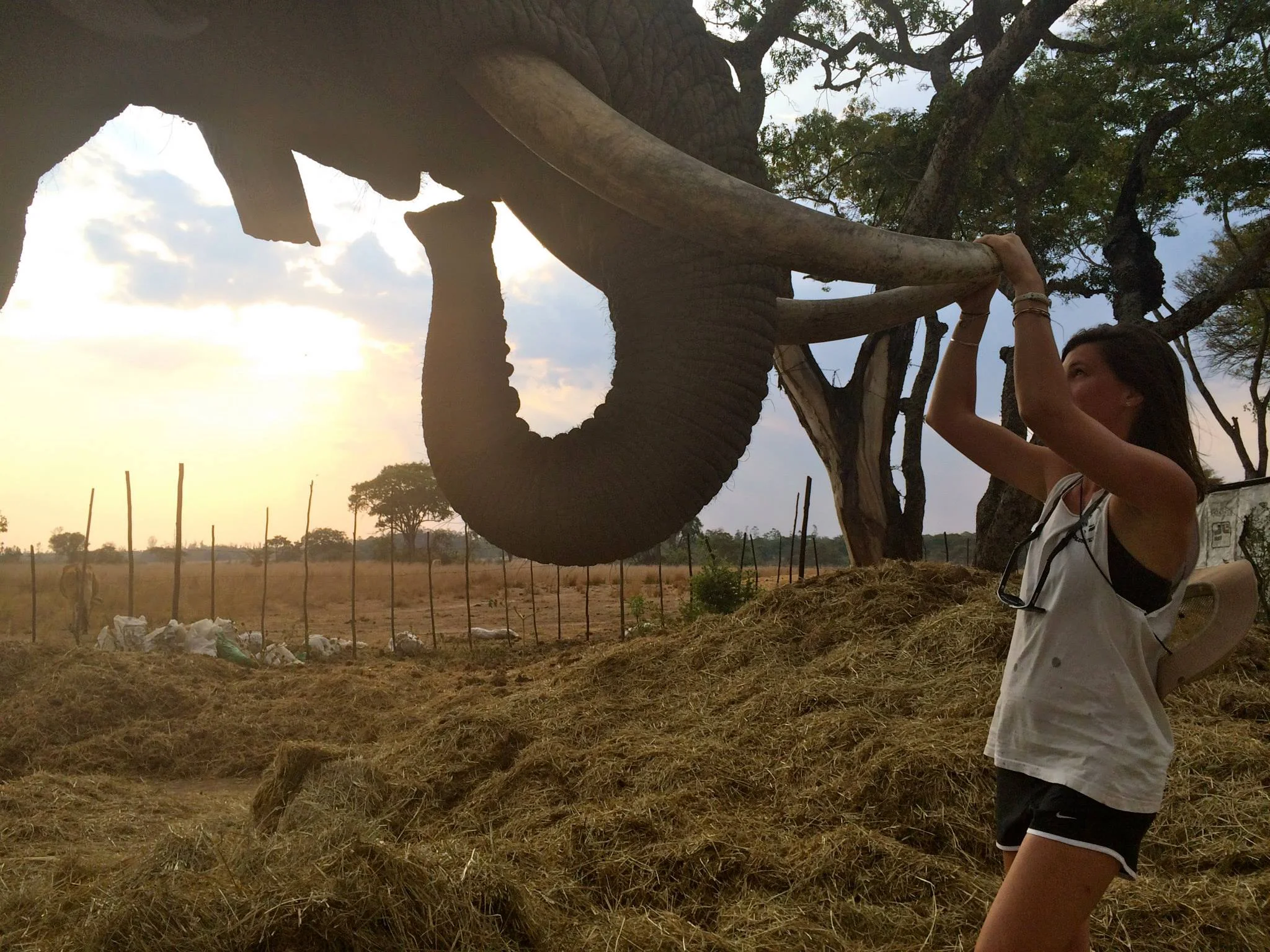 Catherine "The Ress" Ressijac / Hwedza, Zimbabwe