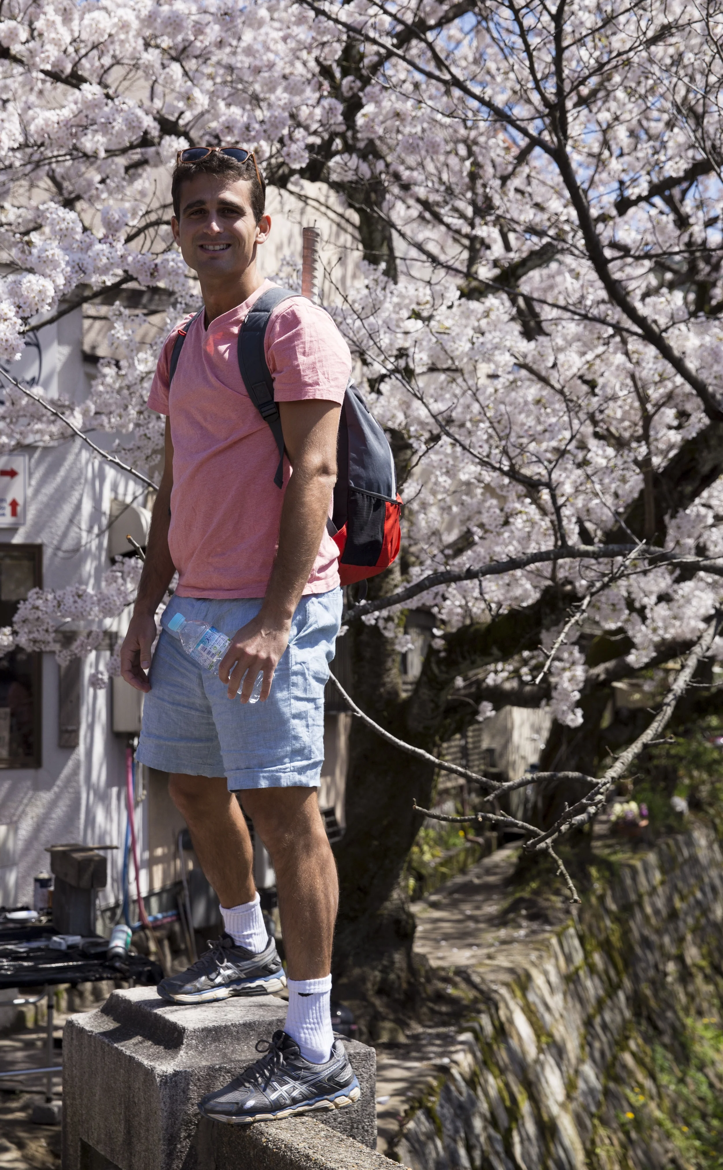 Time to be a real tourist, cherry blossoms and all