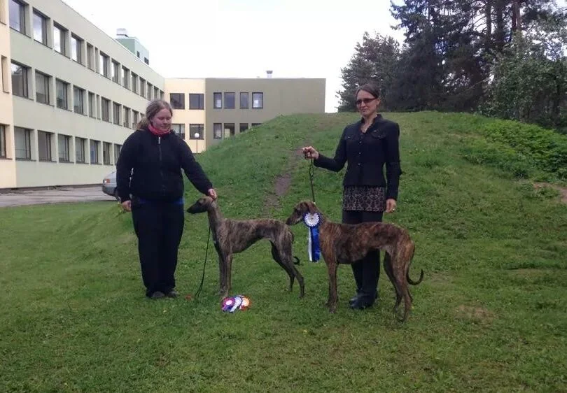 Kulliki Kristianson & dogs Delandros Archie Elliot, Perfect Stranger No Problem, Tazkia Bohemia Genao / Tallinn, Estonia
