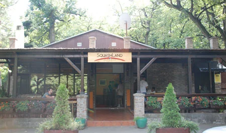 The courts in the middle of the forest