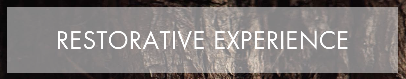 RestorativeExperience.png