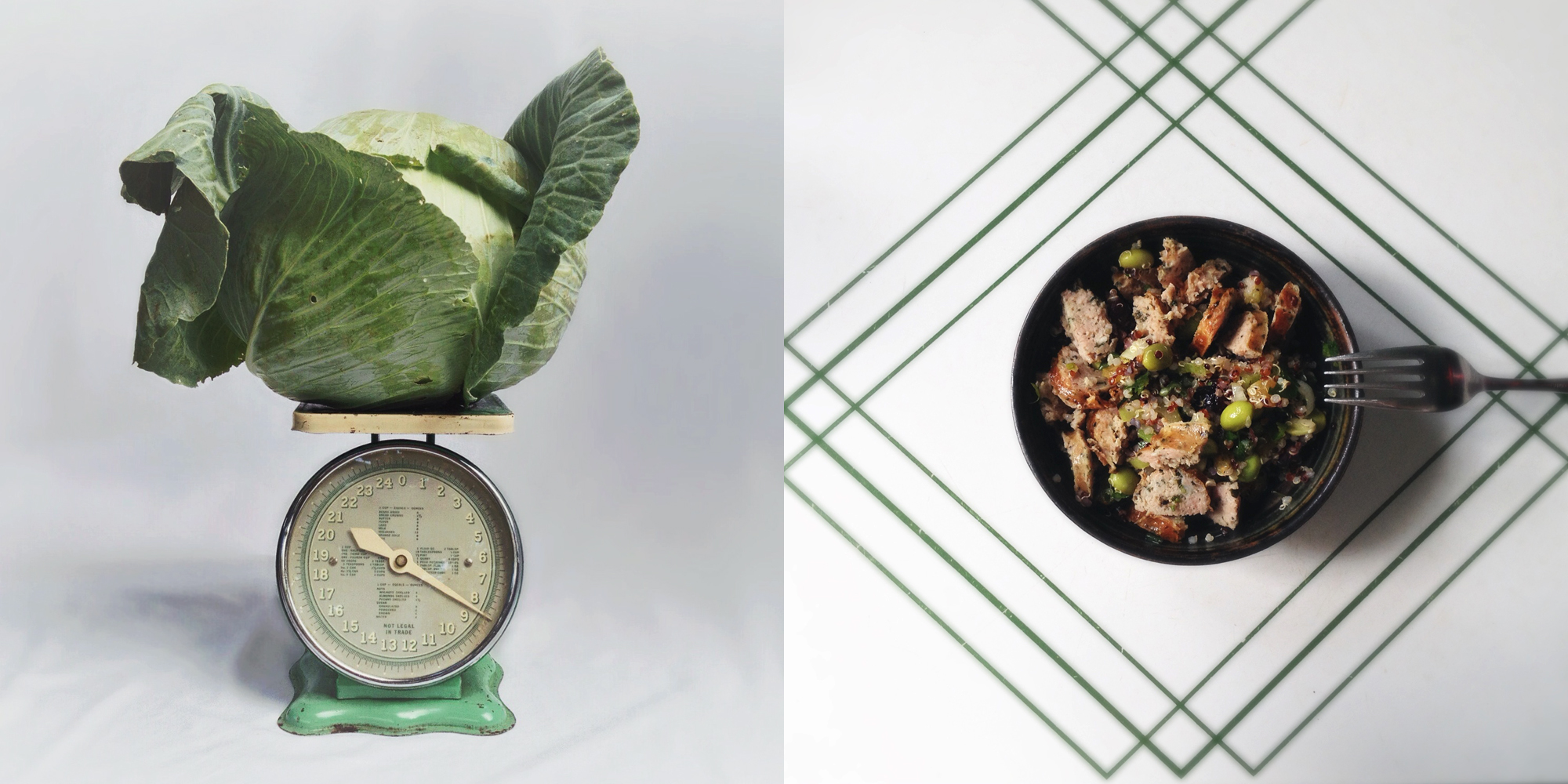 cabbage head and soybean quinoa diptych.jpg