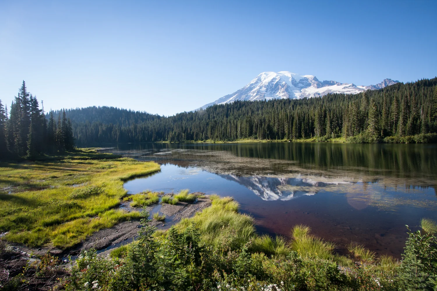 _MG_7343.jpg
