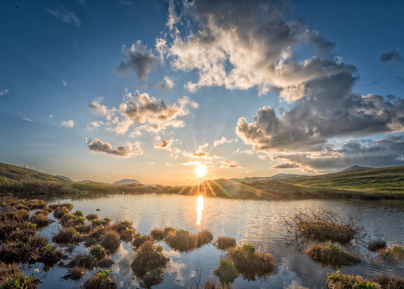 _CMA8493-HDR print.jpg