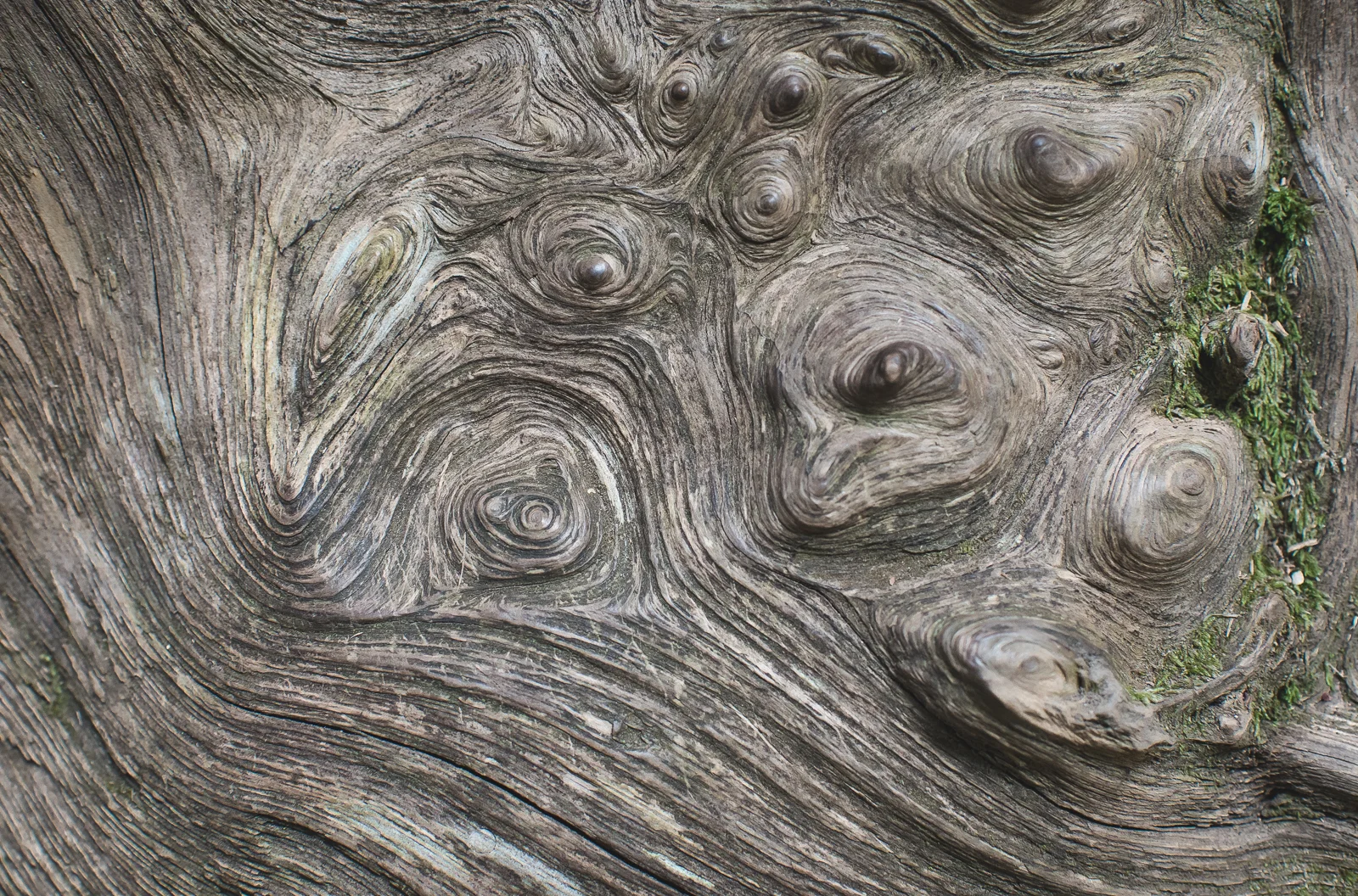 CMA_2764.jpg