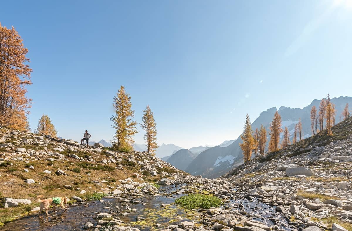 Autumn colors are afoot, as landscape bursts into flames of yellow and red!&nbsp; What a real treat to backpack into the Northern Cascades and behold the yellow larches for the first time in my life!&nbsp; Backlit, front lit, dusk lit... all lighting