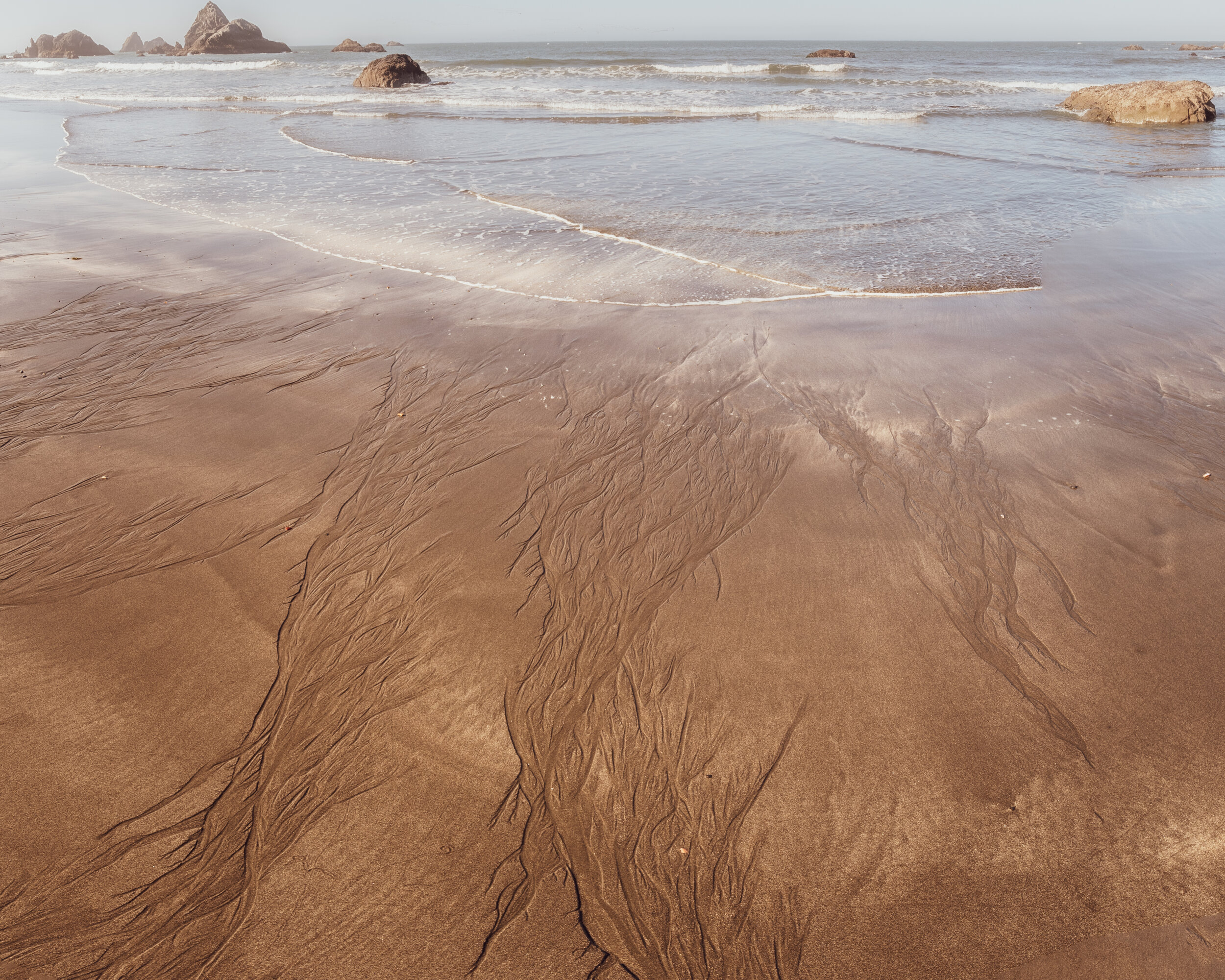 CMA_0326-Pano 4x5 print.jpg