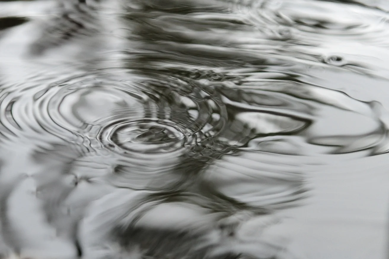 Water is magical, especially in the rain.