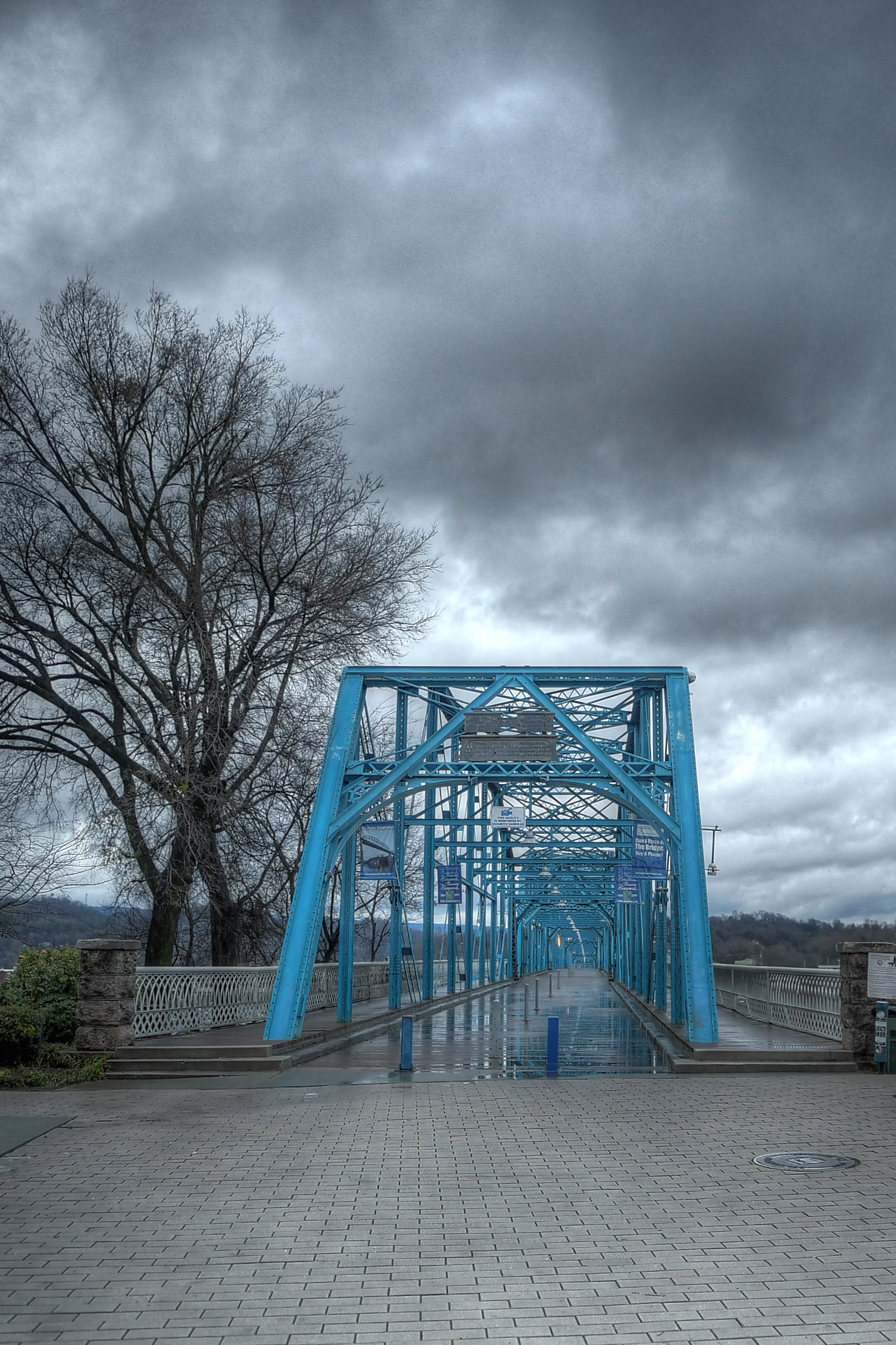 Walnut Street Bridge