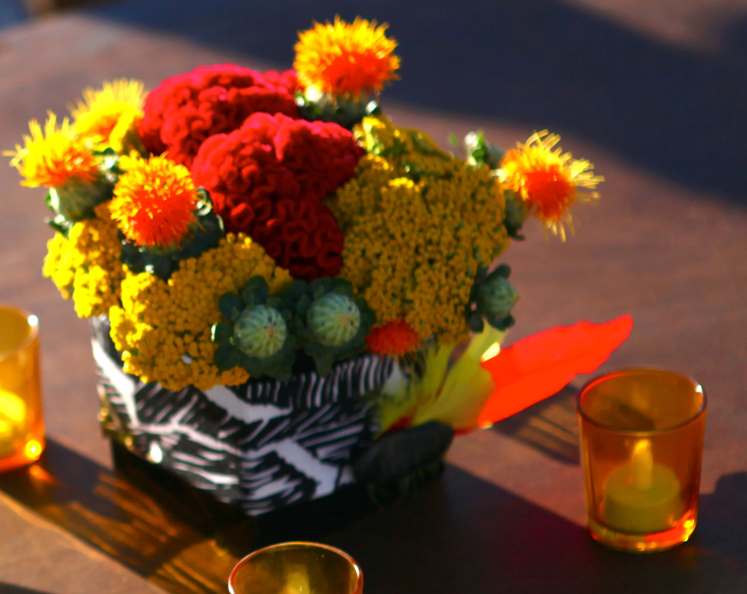 IMG_6770 - Version 2.jpg