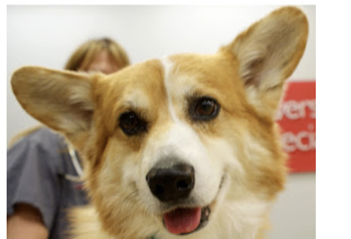 So, you've started a business. Now what?