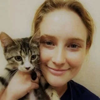 JJ Cat.jpg