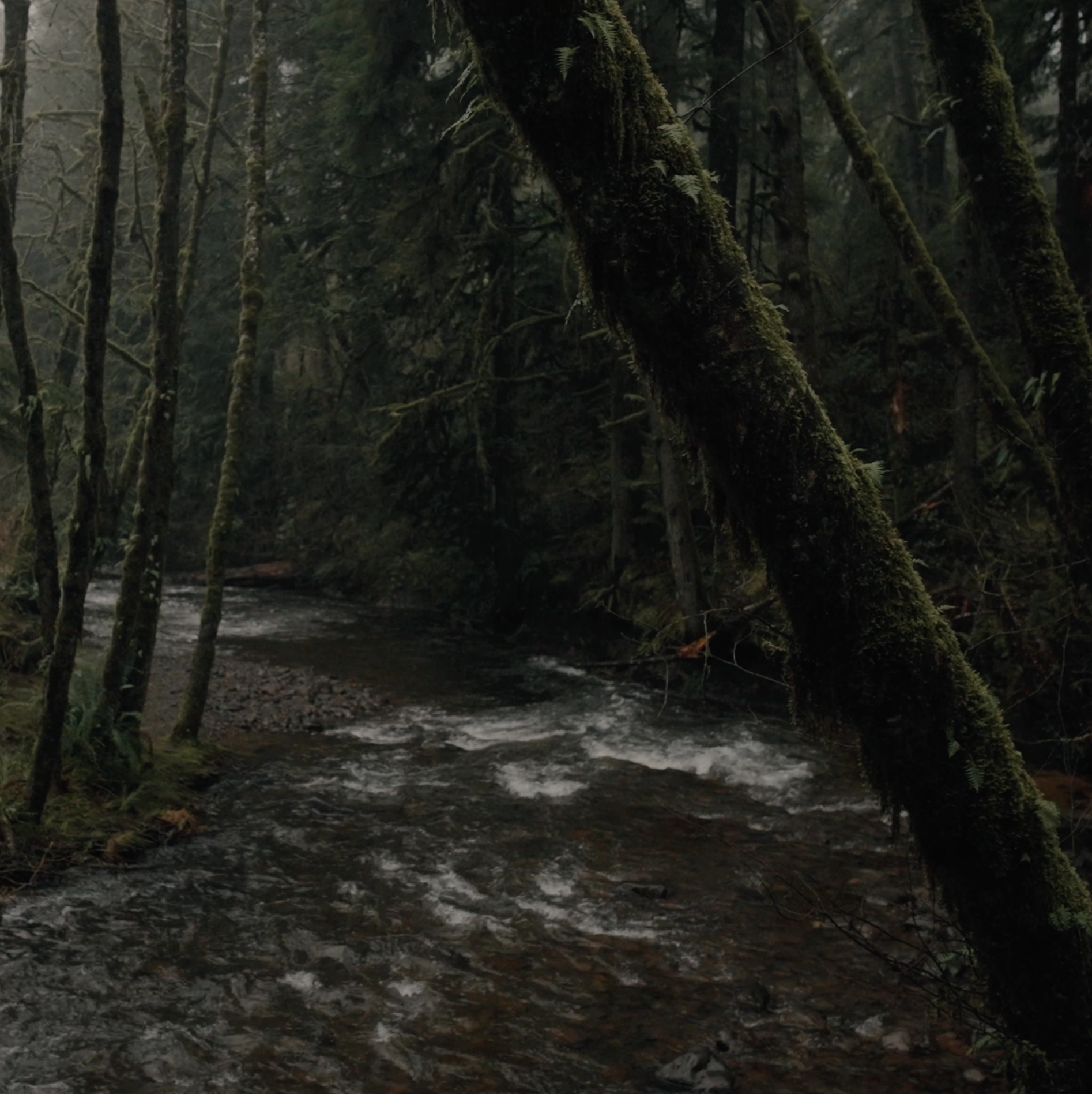 Screenshot 2026-02-08 at 2.36.14 AM copy.png