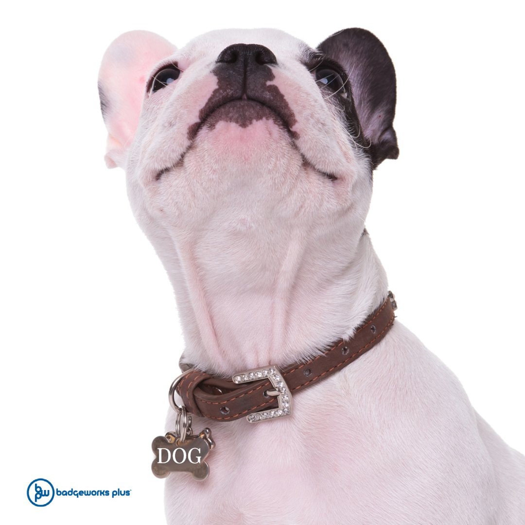 Your pet deserves a badge too... Badgeworks Plus can make dog tags. 🐶