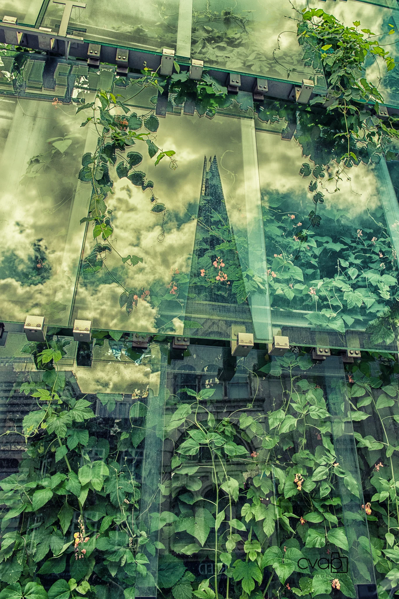 CVA_6117-Edit.jpg