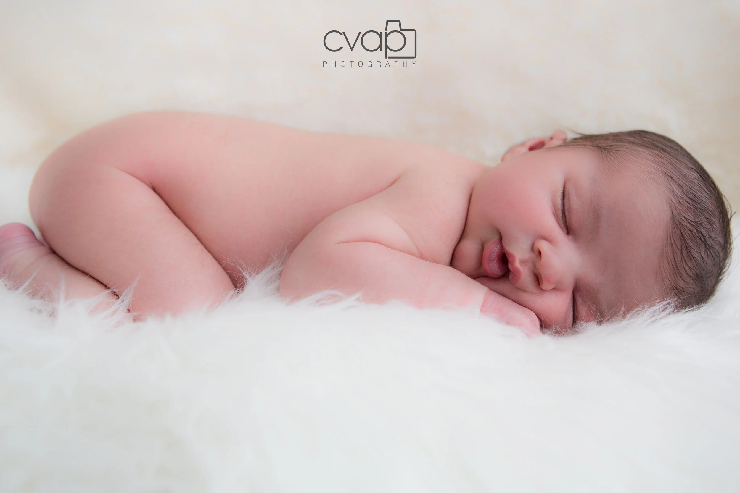HLP_6579-2.jpg