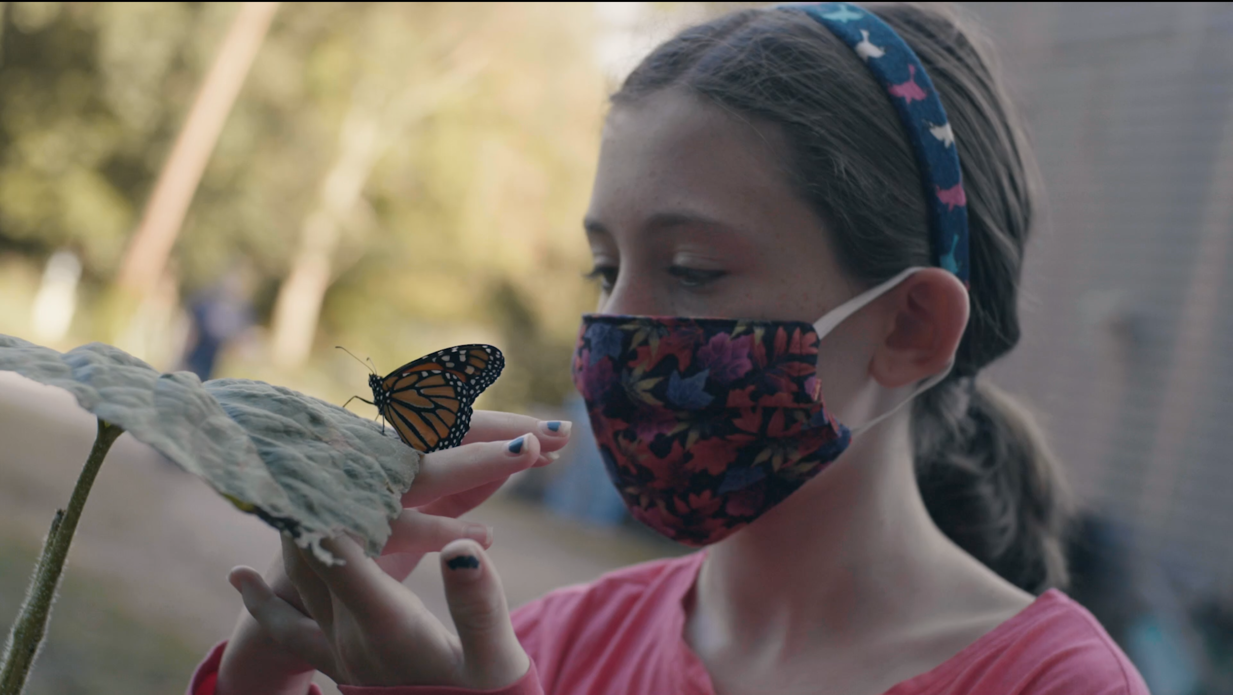 Screen Shot 2021-06-13 at 2.51.20 PM.png