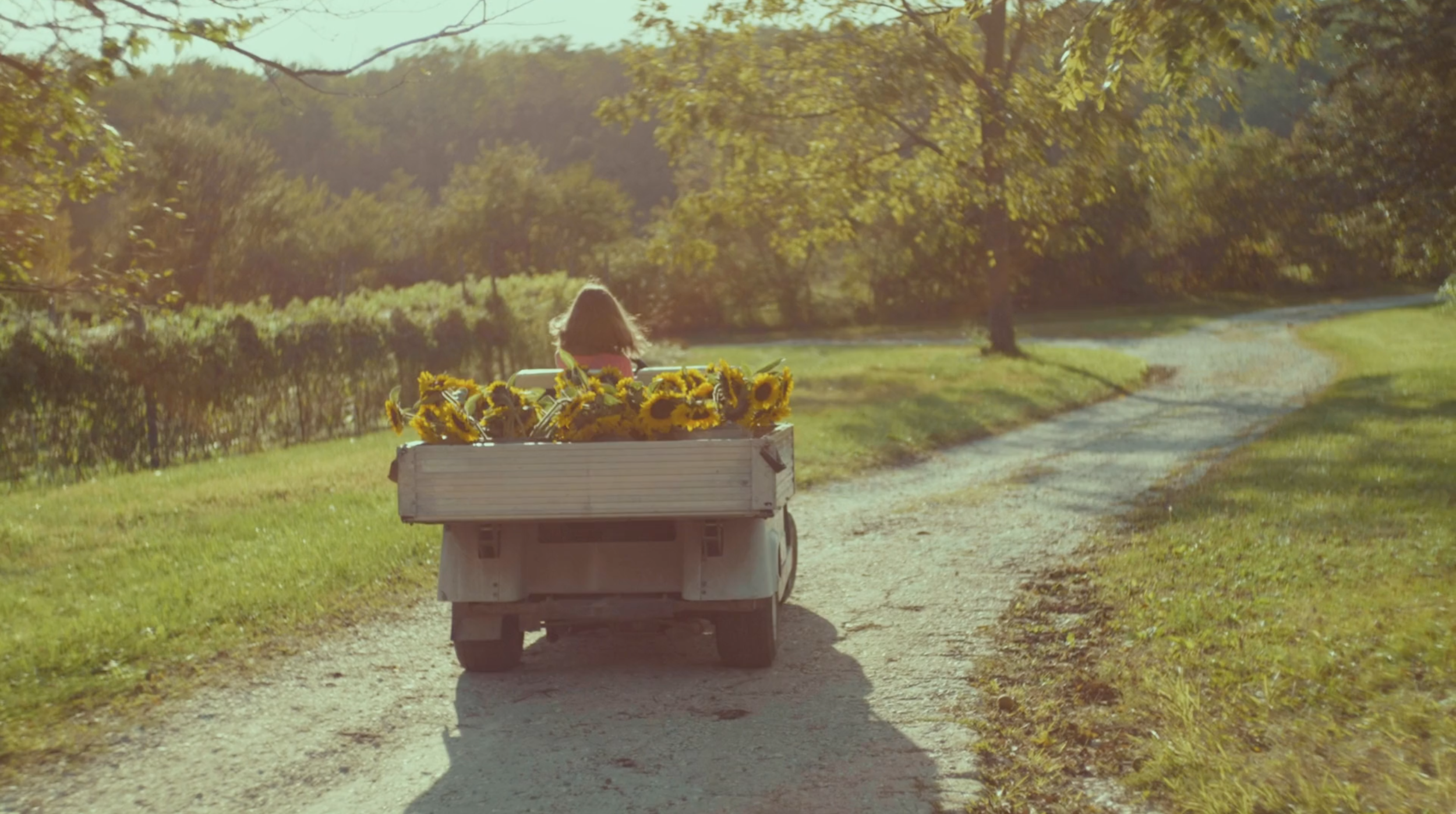 Screen Shot 2021-06-13 at 2.41.51 PM.png