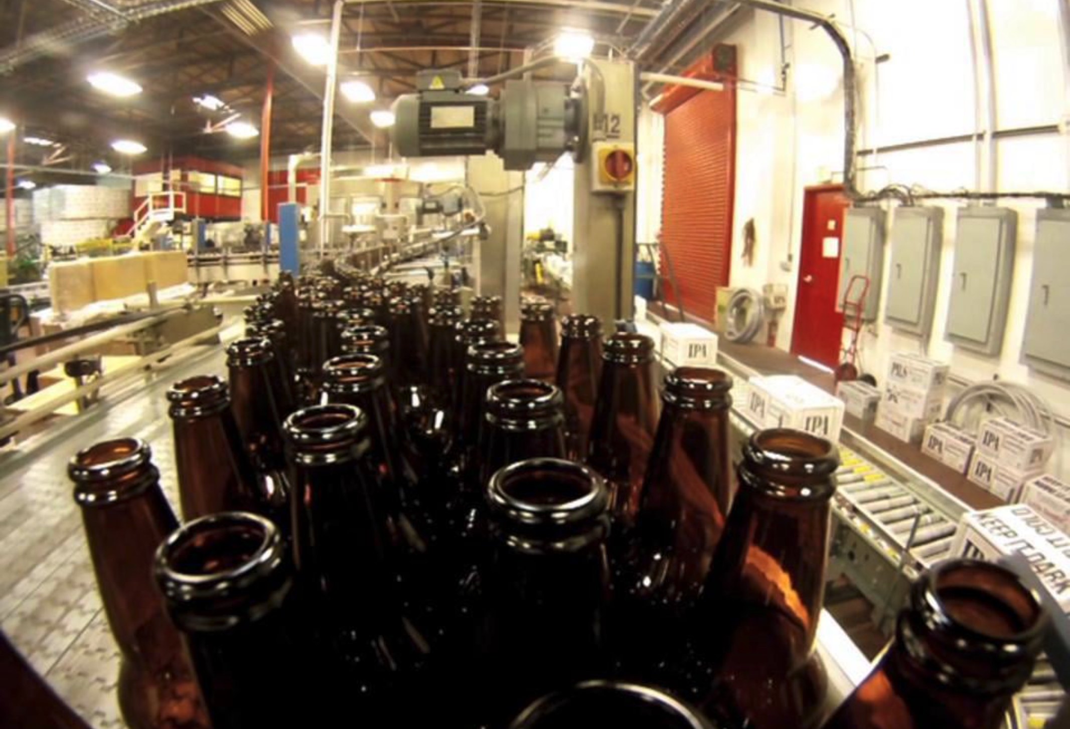 On the Line ...at Lagunitas
