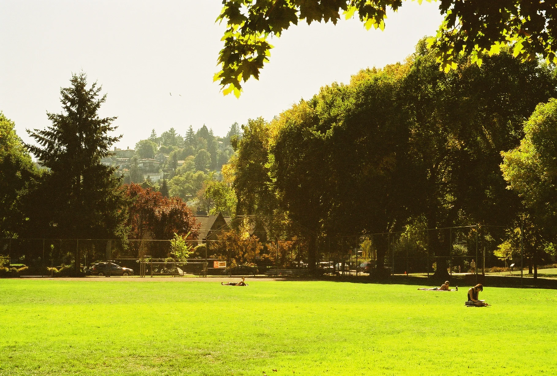 Lomo001071-R1-005-1.jpg