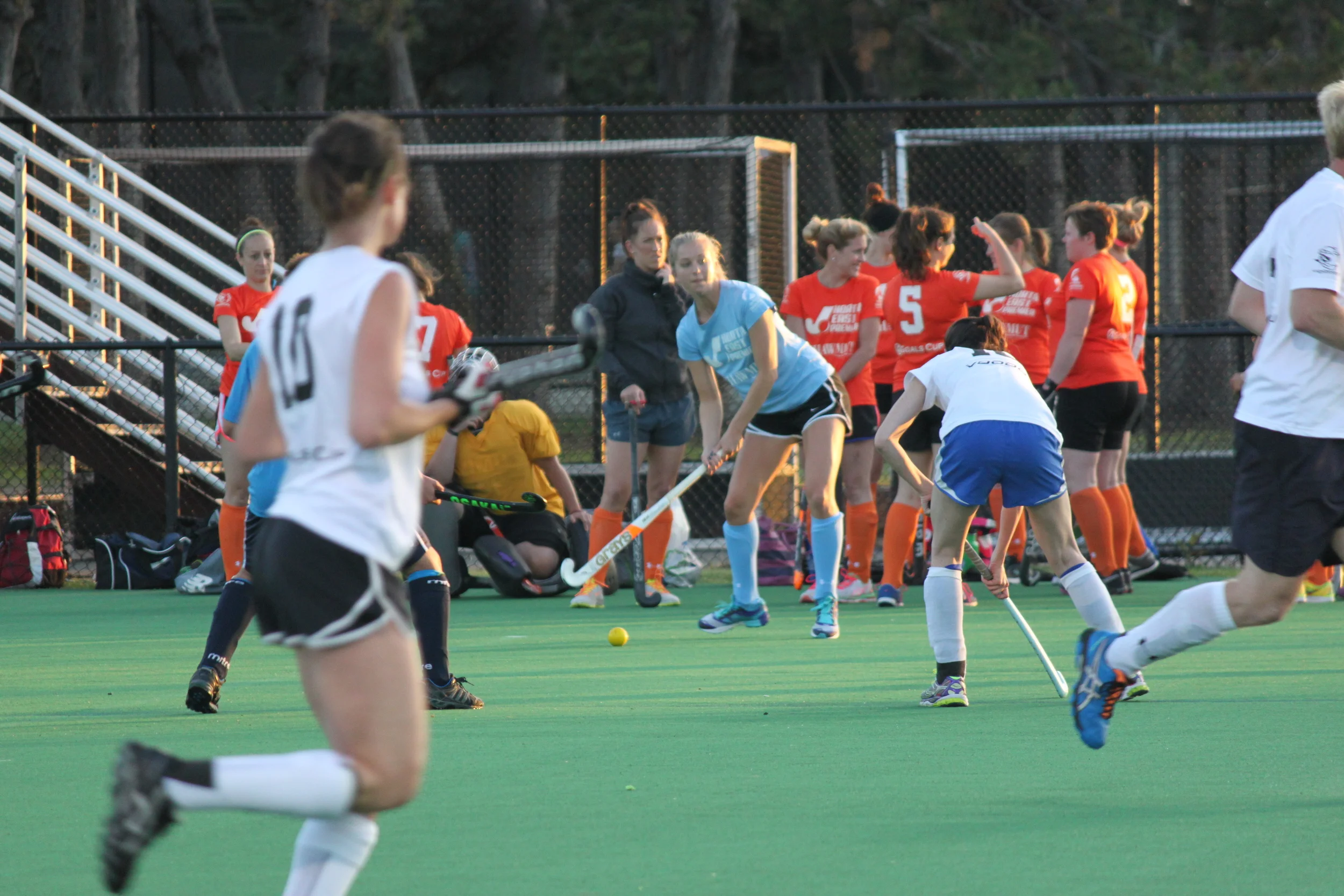 A IMG_8438_action.JPG