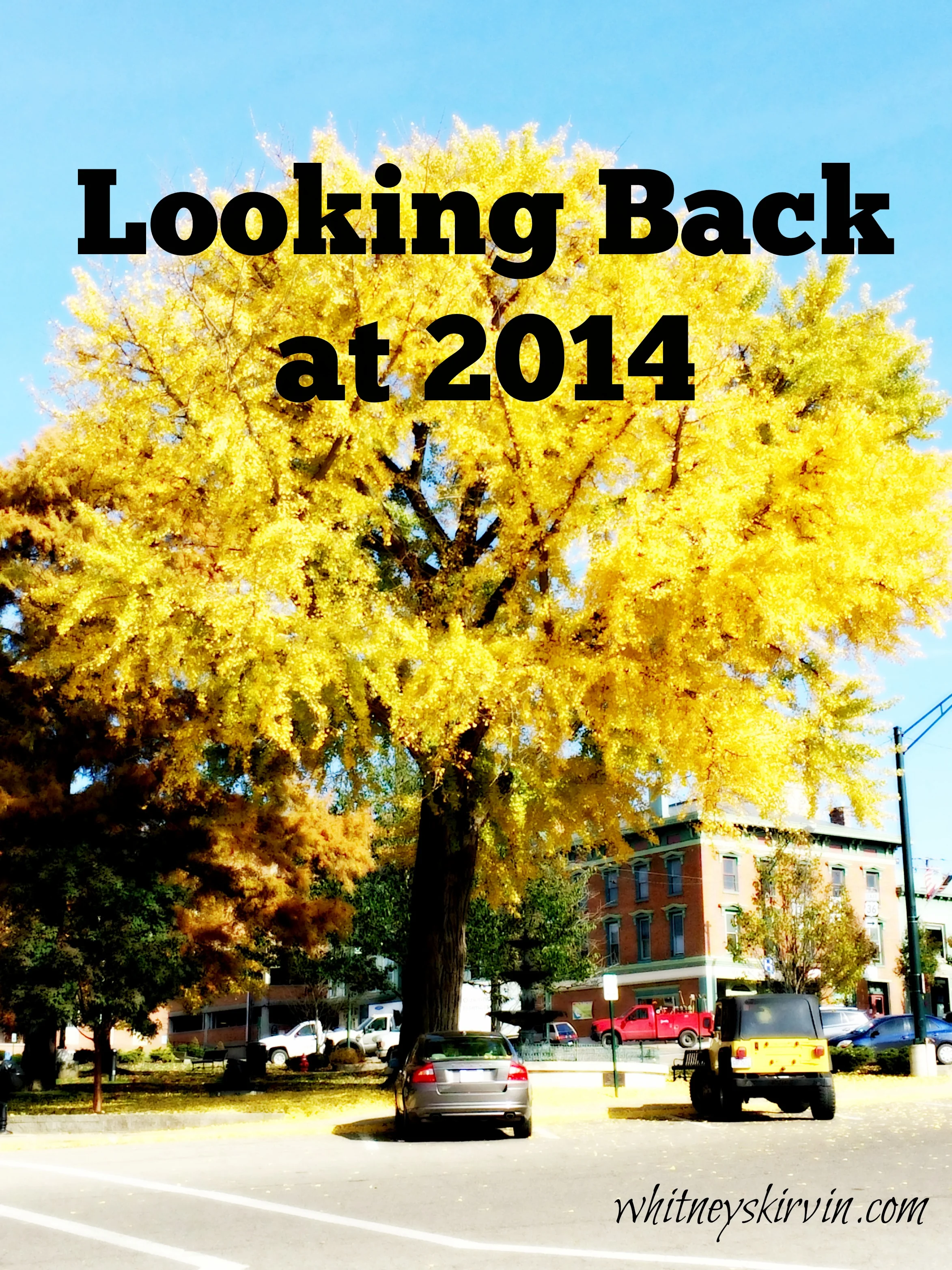 Looking Back at 2014
