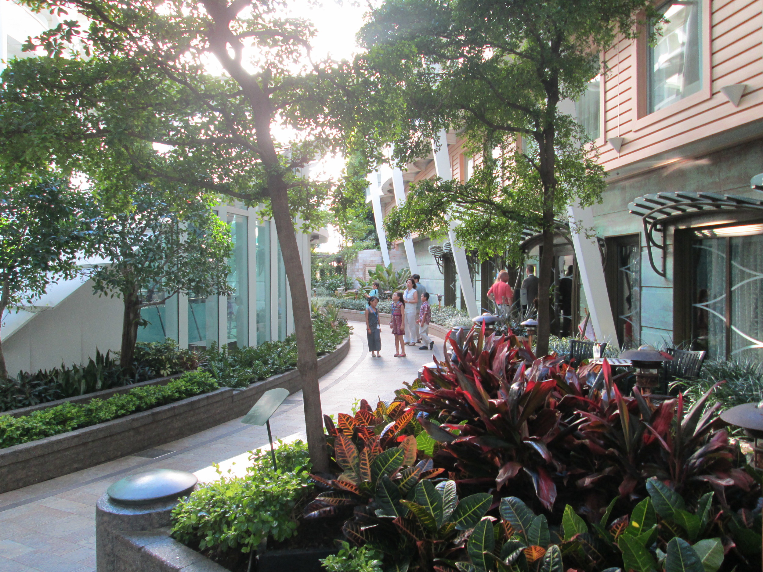 The lovely Central Park. Those are real plants growing on the ship! This is a great place for a stroll, and is also where most of the fancy restaurants are located. 