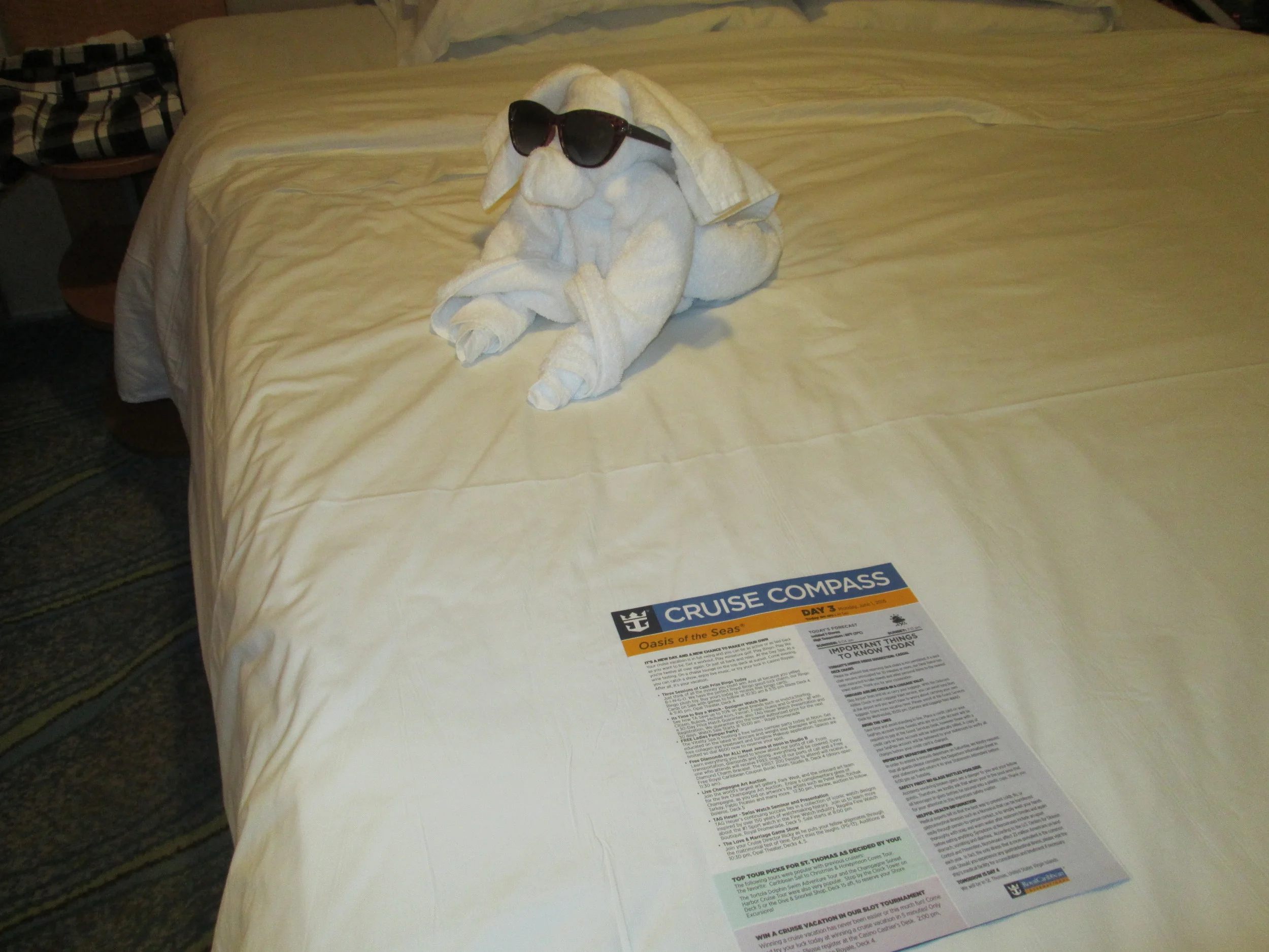 Be sure to check the cruise compass each day for ship activities! It will also tell you if it is a casual or formal dinner evening. 