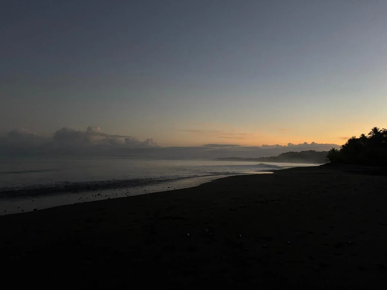 d74f1f45-a292-4472-8a39-d61db35e351a.JPG