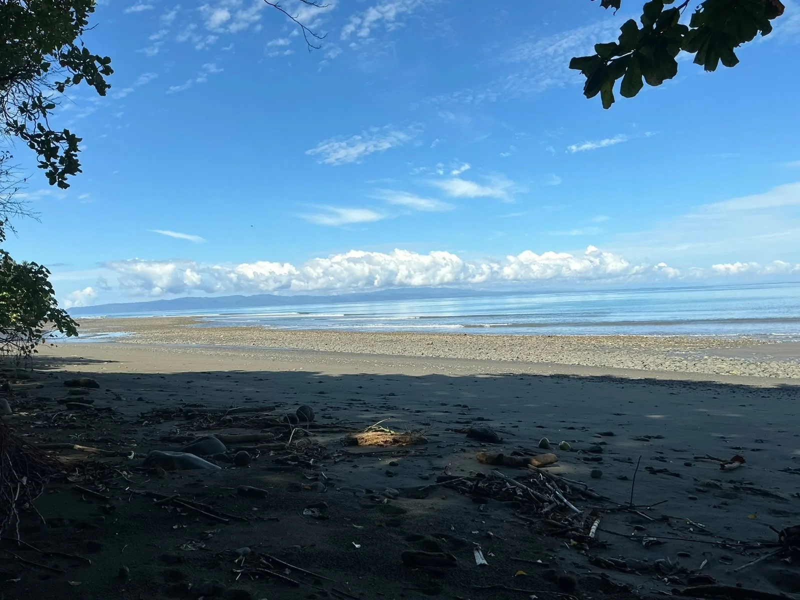 b50f6372-8a1b-4067-9f3e-d3689197cc49.JPG