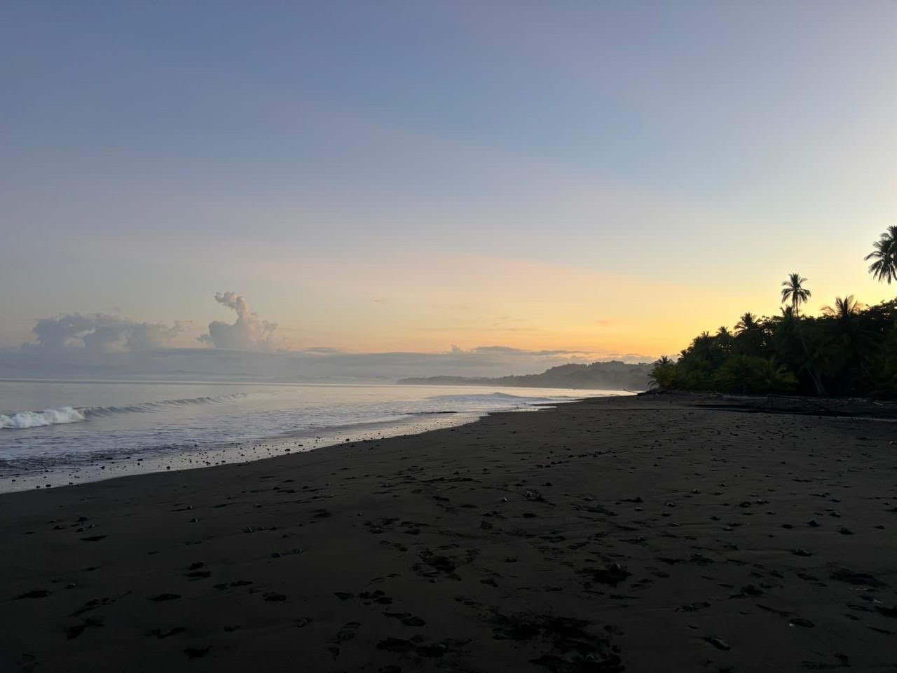7b9a3b42-7799-40b0-8257-26fdf174d607.JPG