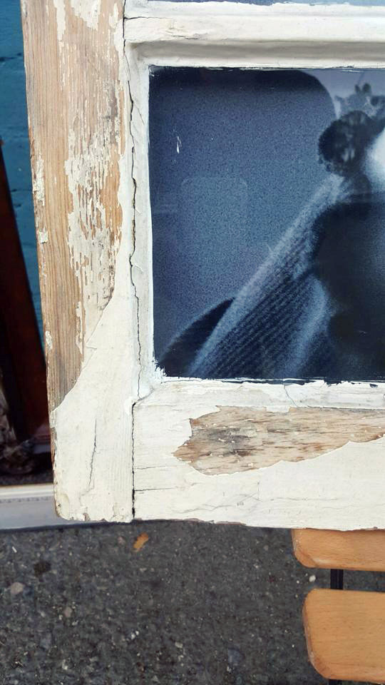 frame8.jpg