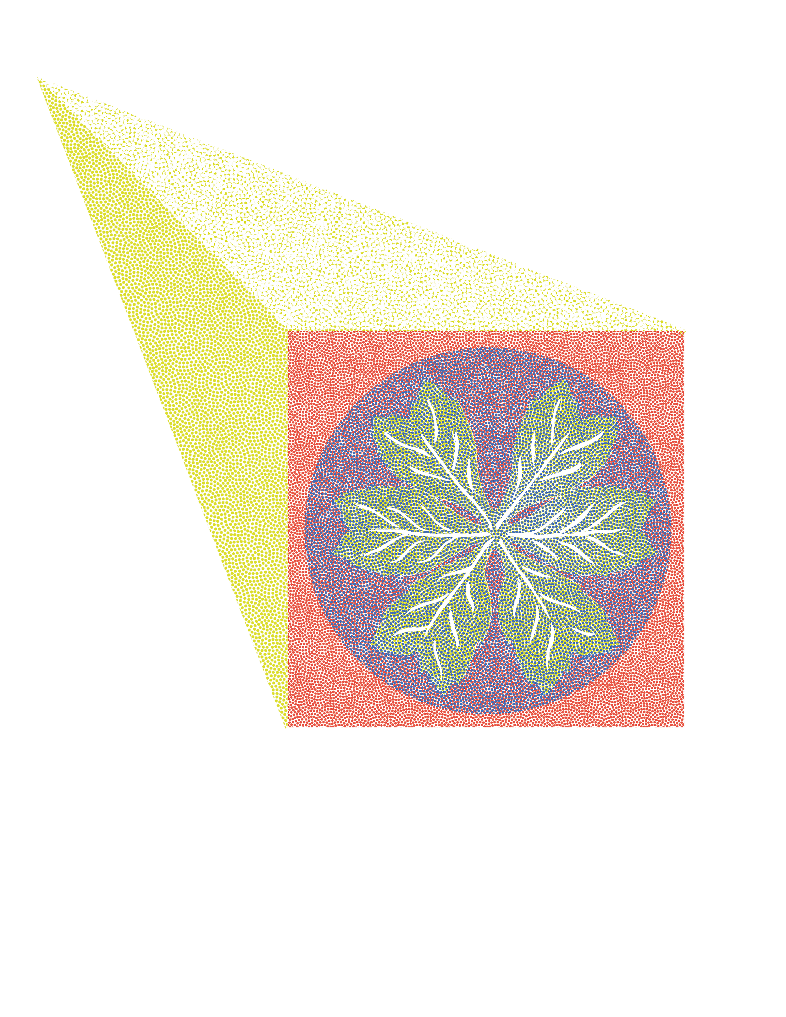 SIGHTSEERS: A Drawing Club for People