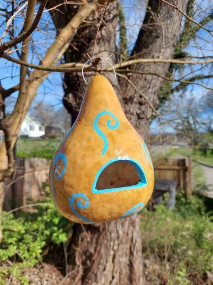 GOURD HOUSES FOR BIRDS