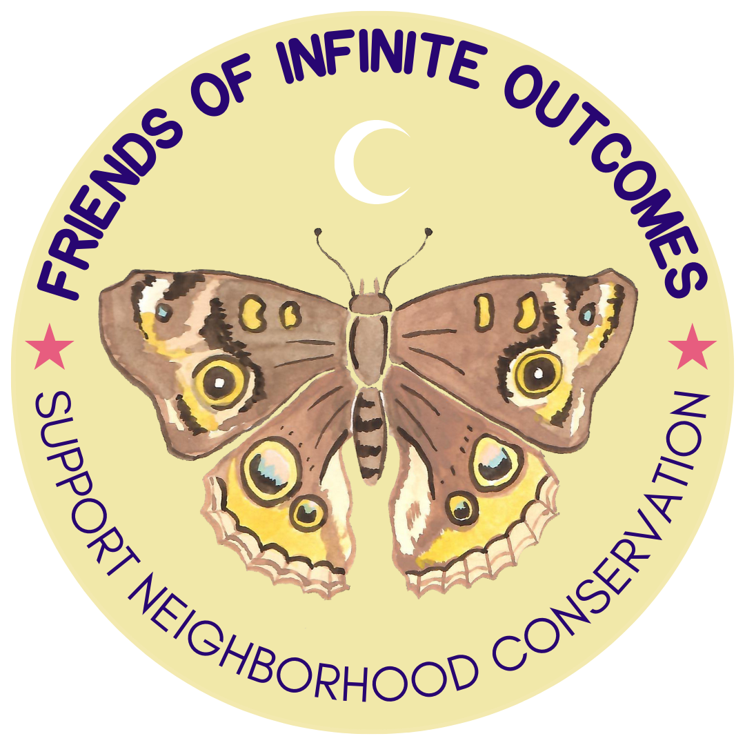 THE WORLD IS INFINITE! AND SO ARE YOU Benefit Dinner for the Museum of Infinite Outcomes
