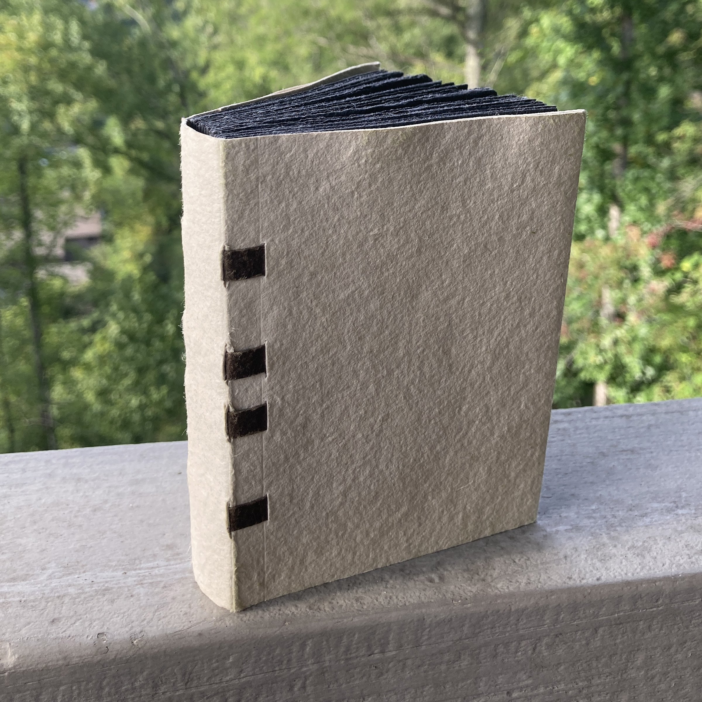 Perfectly Pocket Sized: Case Paper with Laced Tapes Book