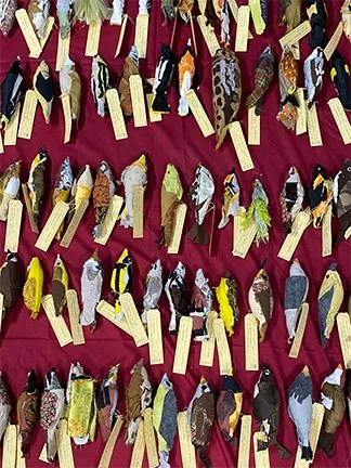 80stuffed birds.jpg