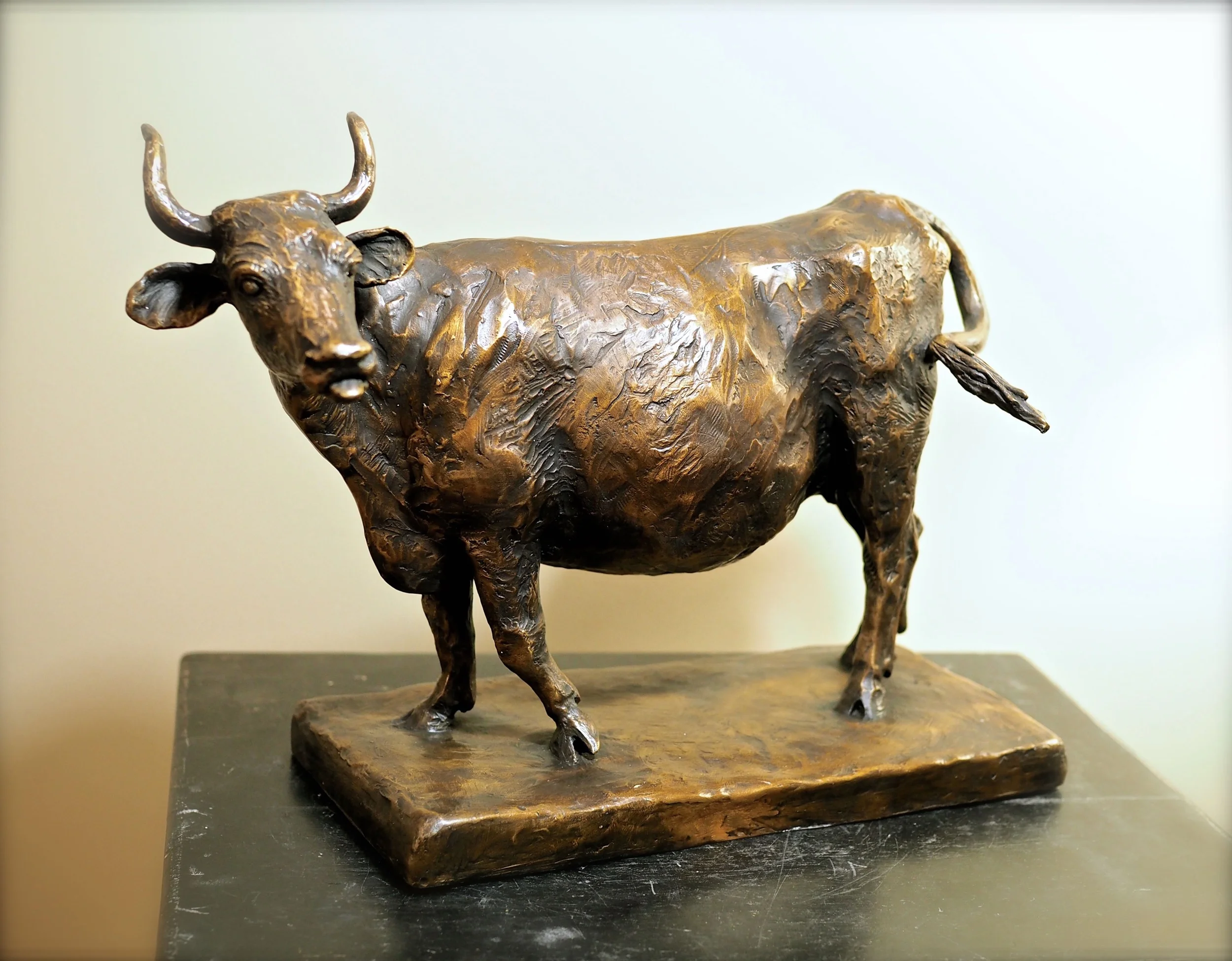 Red Devon - Bronze