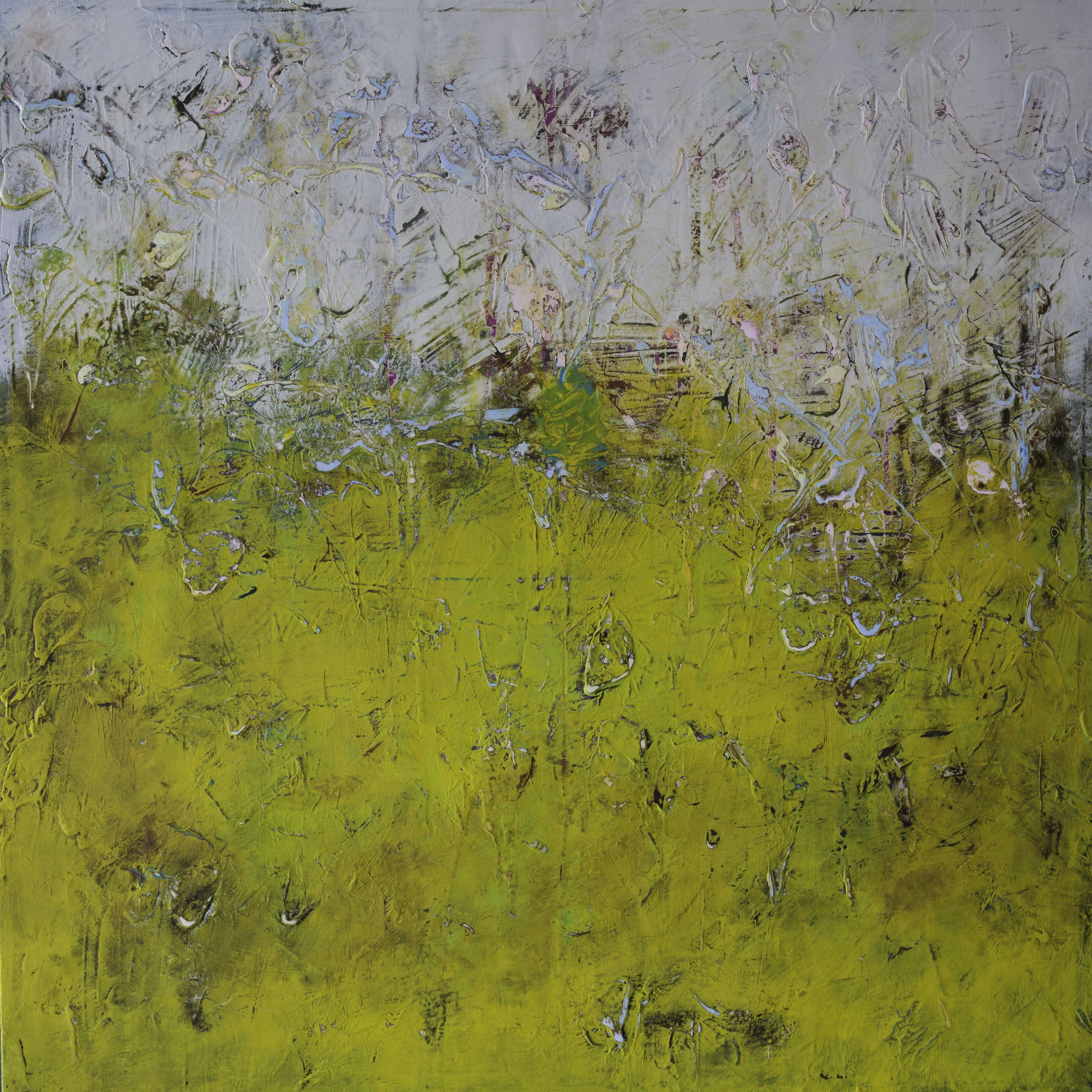 Truevision Photo.jpg