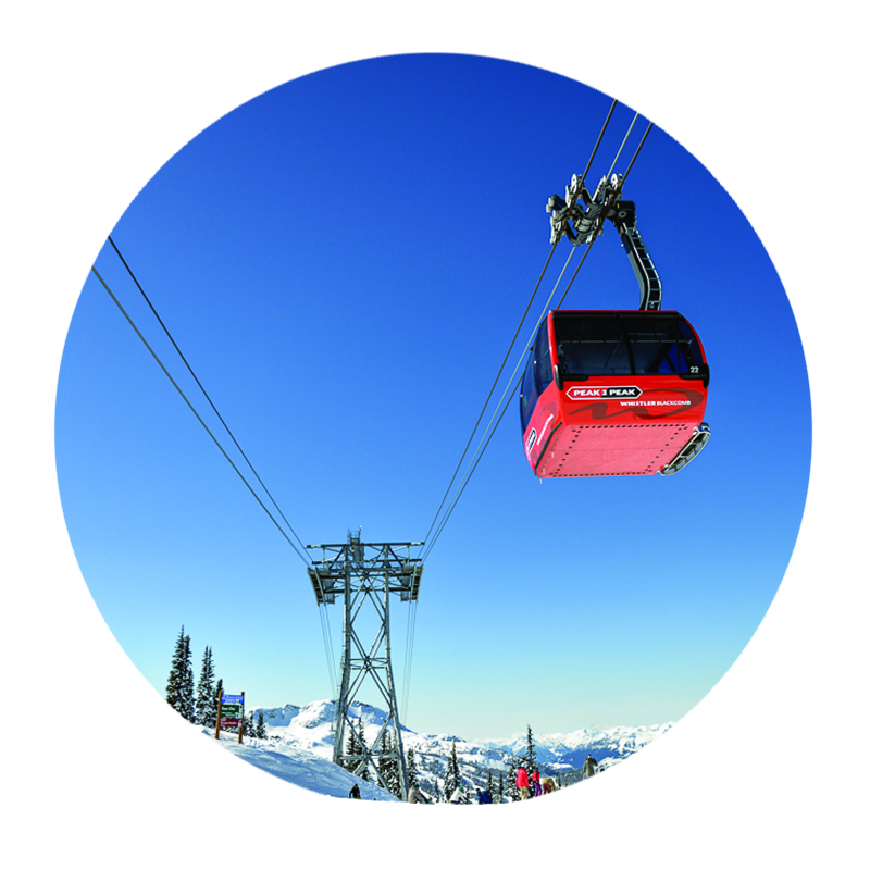 Whistler Icon 3.jpg