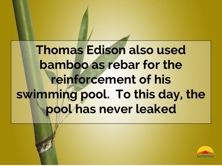 Slide03.jpg