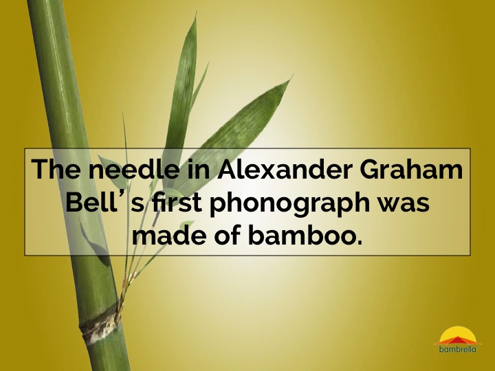 Slide04.jpg