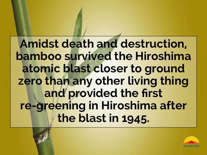 Slide07.jpg