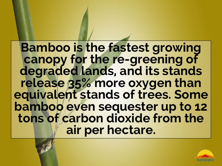 Slide09.jpg