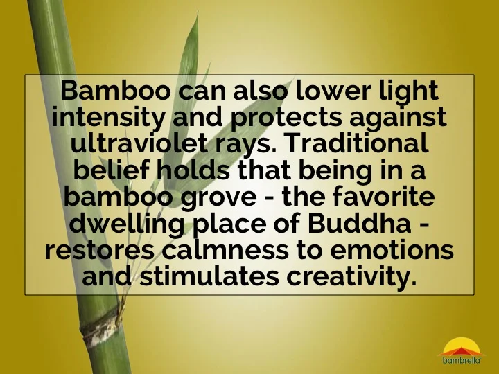 Slide10.jpg