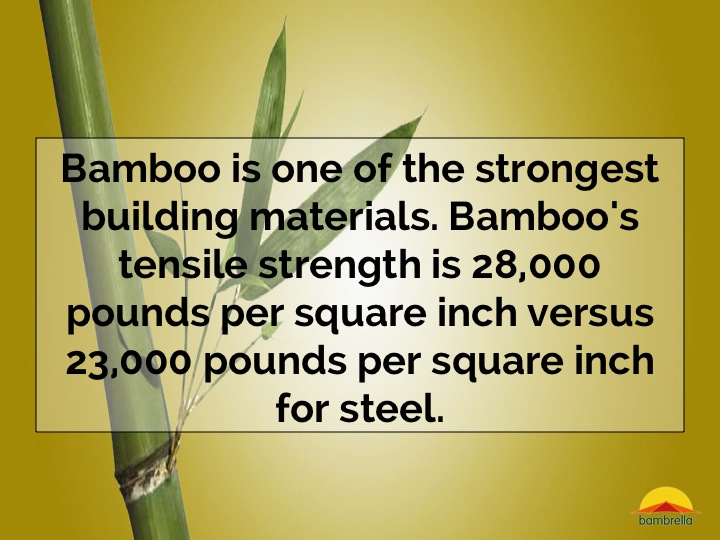 Slide11.jpg